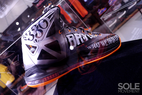 Nike Lebron X Project Lion Customs 37