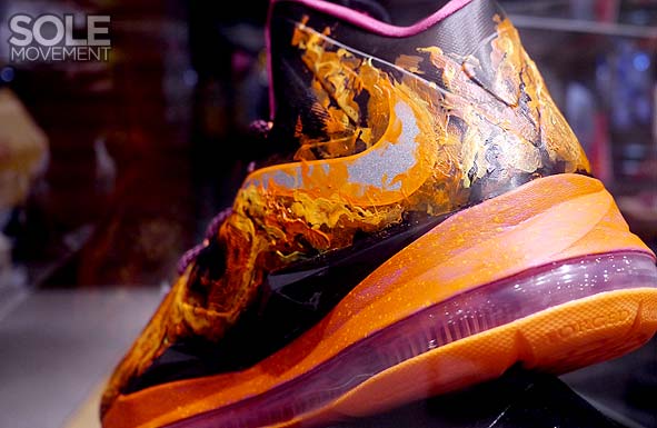 Nike Lebron X Project Lion Customs 39