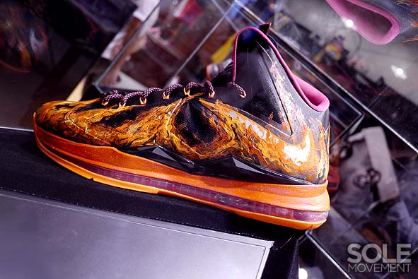 Nike Lebron X Project Lion Customs 40
