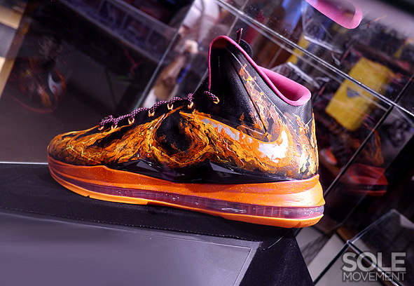 Nike Lebron X Project Lion Customs 43