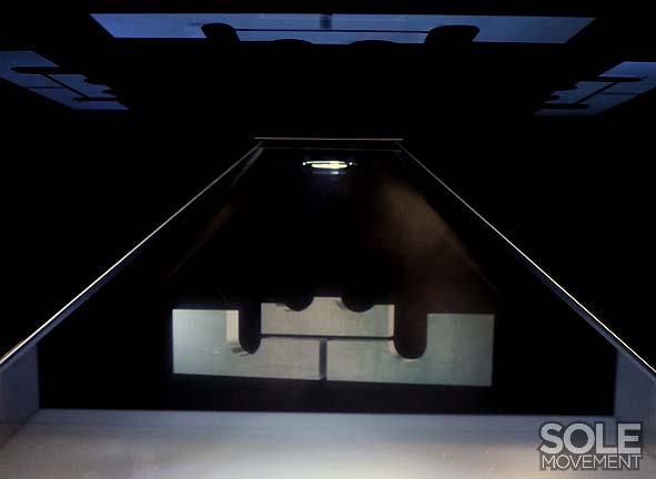 Nike Lebron X Project Lion Customs 45