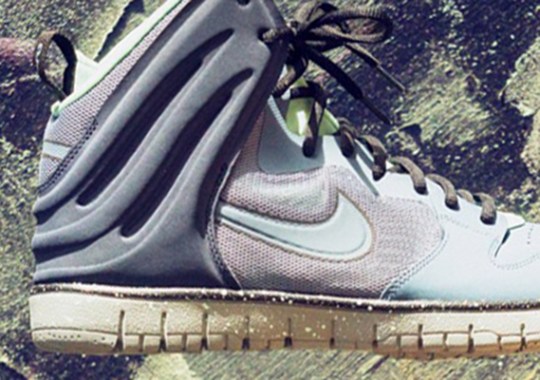 nike dunk free arago 1