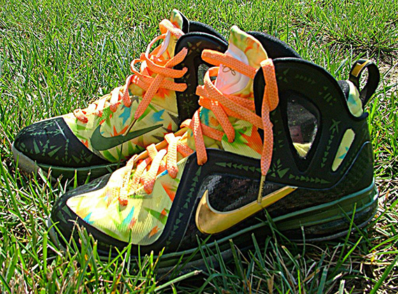 Nike Lebron 9 Elite 2x Champion Customs 5