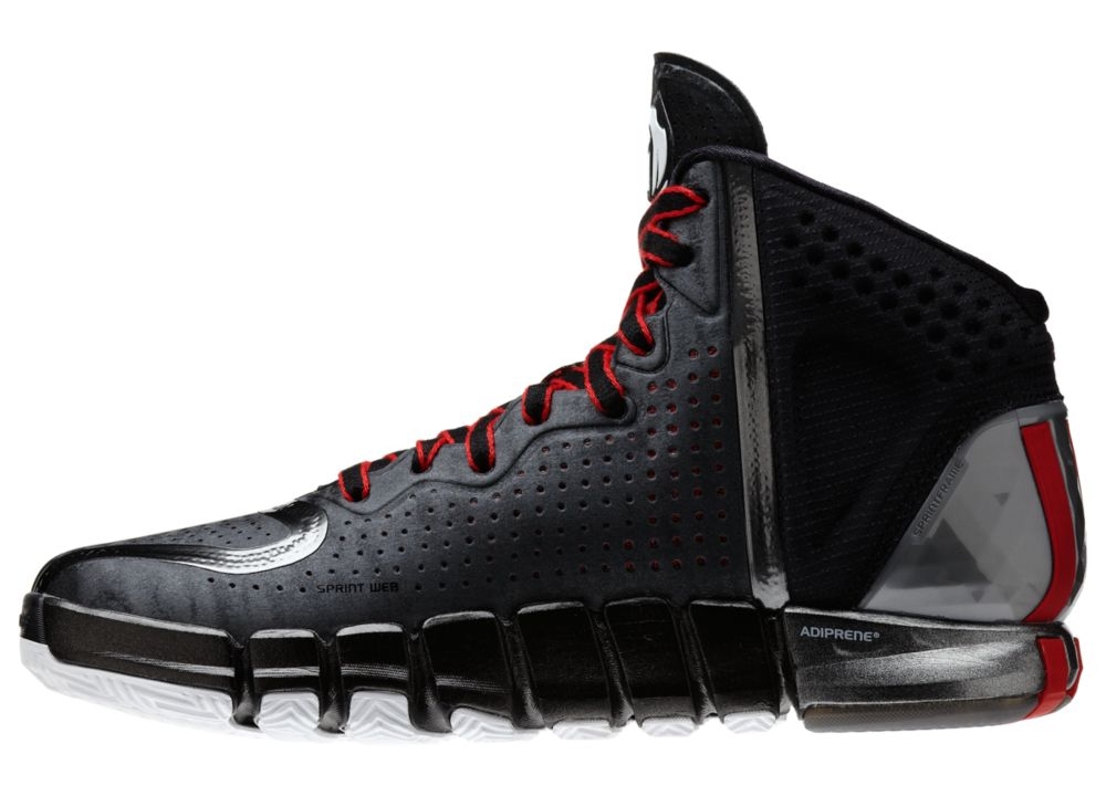 Adidas D Rose 4 Available For Pre Order 07