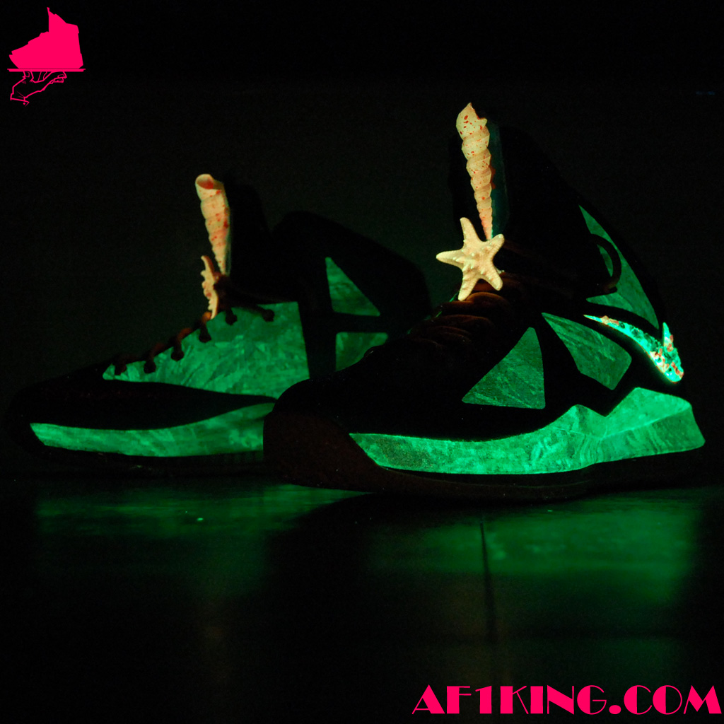 Lebron X 305 Custom 02