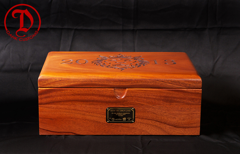 Lebron X Gold Dank 2