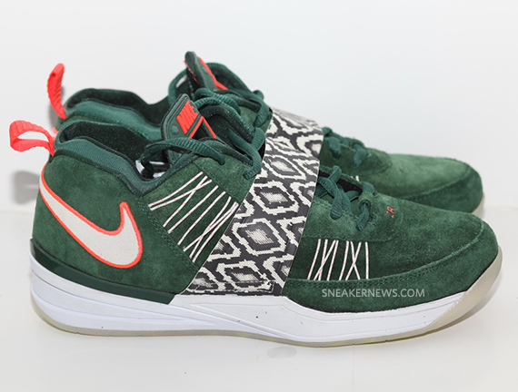 nike zoom revis