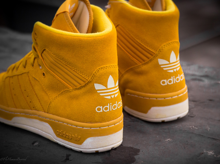 Adidas Blue Rival Suede Pack 10