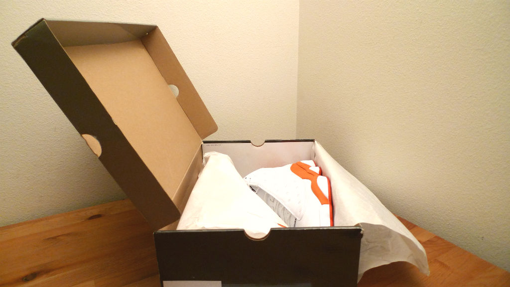 Air Jordan 13 Gerald Wallace Bobcats 01