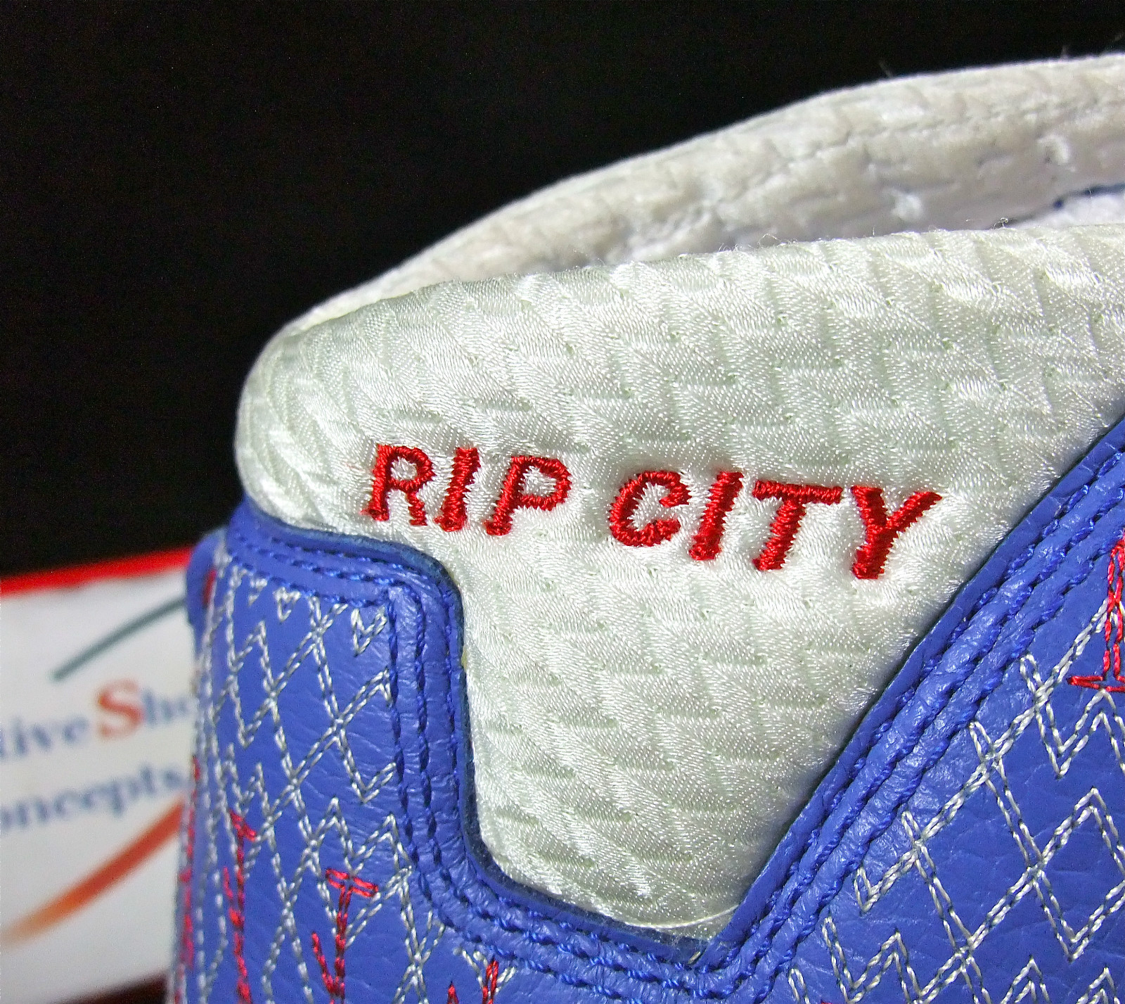 Air Jordan Xx3 Rip Hamilton Pistons Pe 07