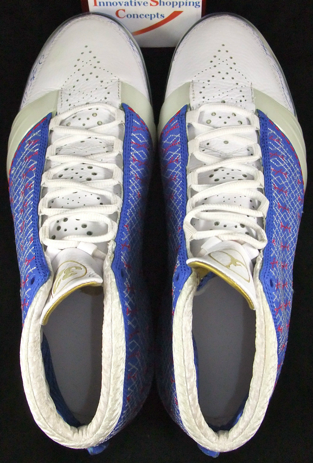 Air Jordan Xx3 Rip Hamilton Pistons Pe 09