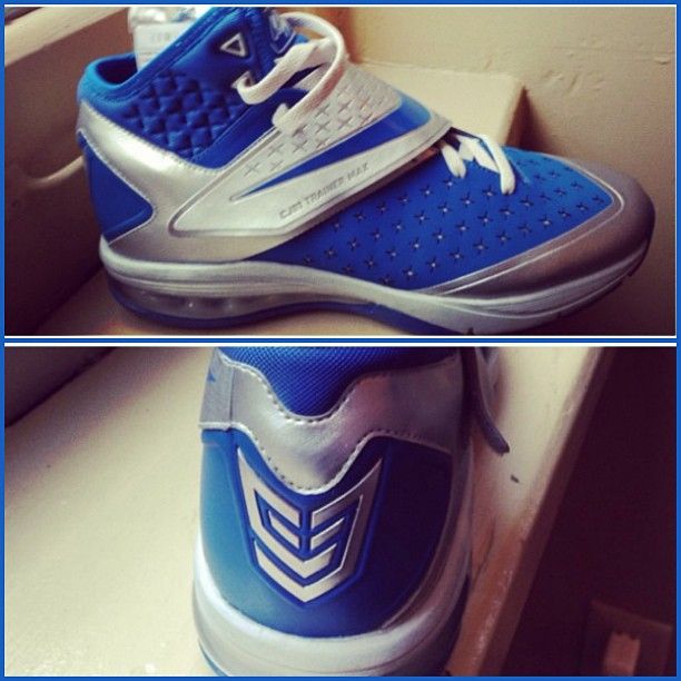 Nike Cj81 Trainer Max Lions 2