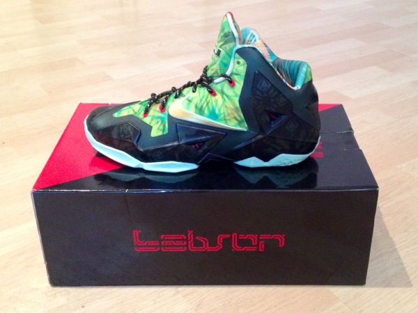 Nike Lebron 11 Championship Customs 10