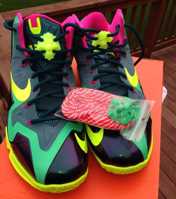 lebron 11 t rex