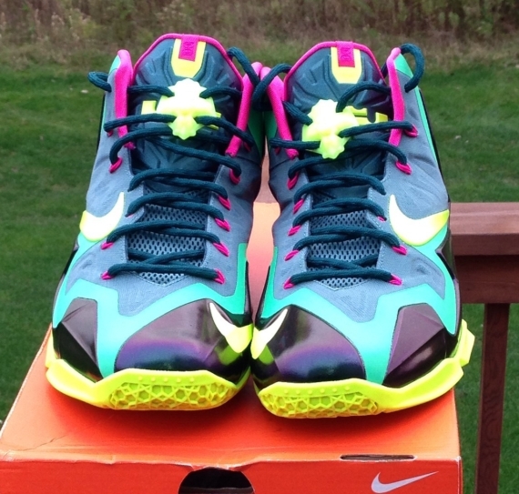 lebron 11 t rex