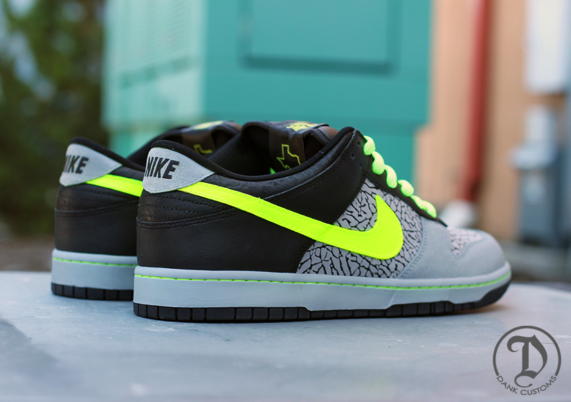 Nike Sb Dunk Low 112 Customs Dank 05