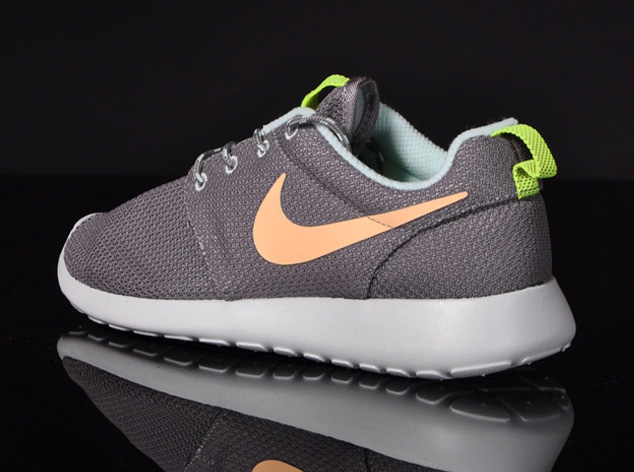 Nike Wmns Roshe Run Canyon Grey Pink 4