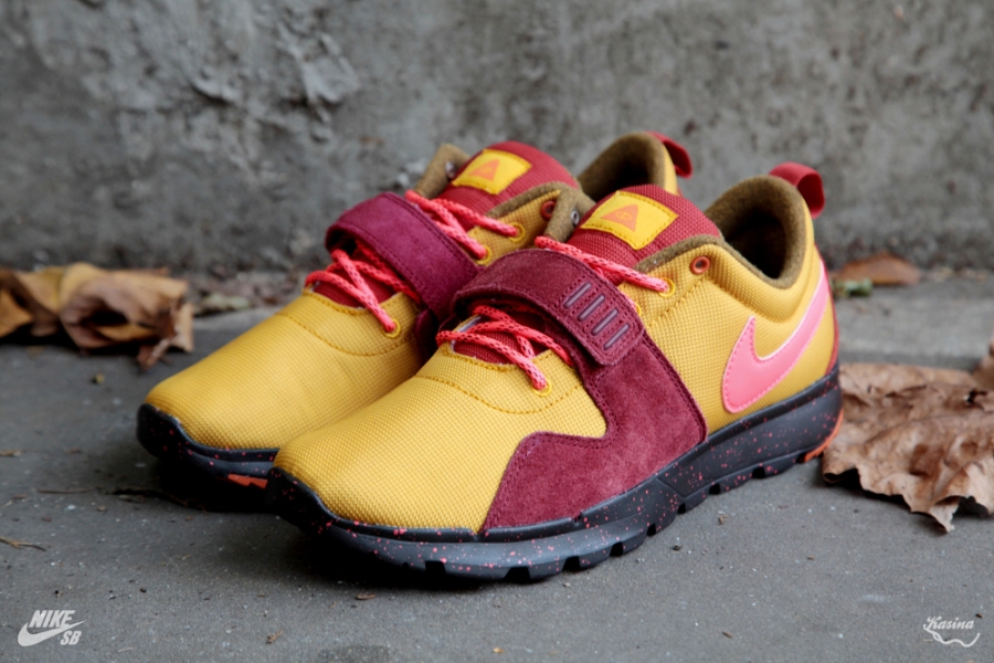 nike sb trainerendor poler