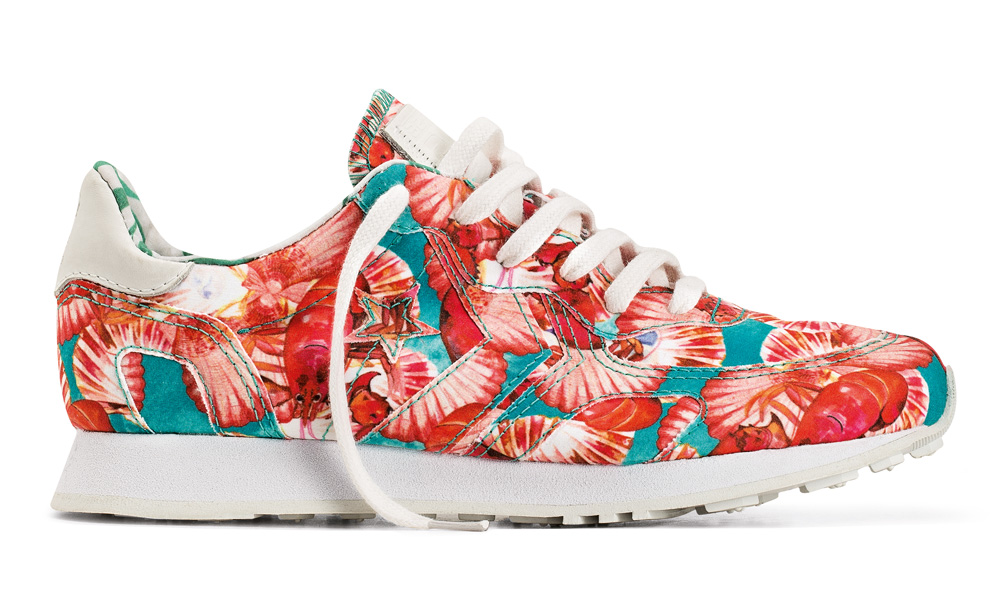 Isolda Converse Brazilian Print Collection 09