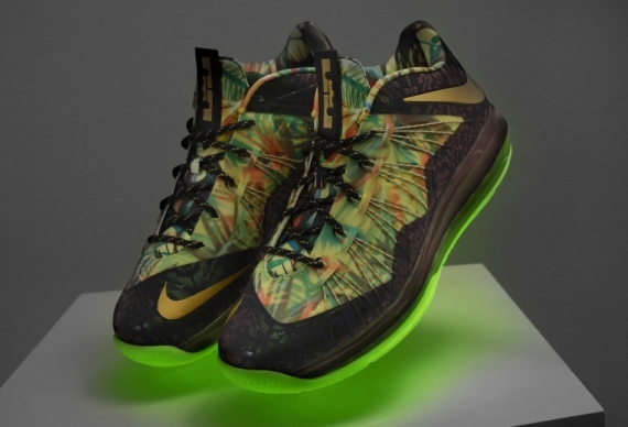 Lebron 10 Shoes 04