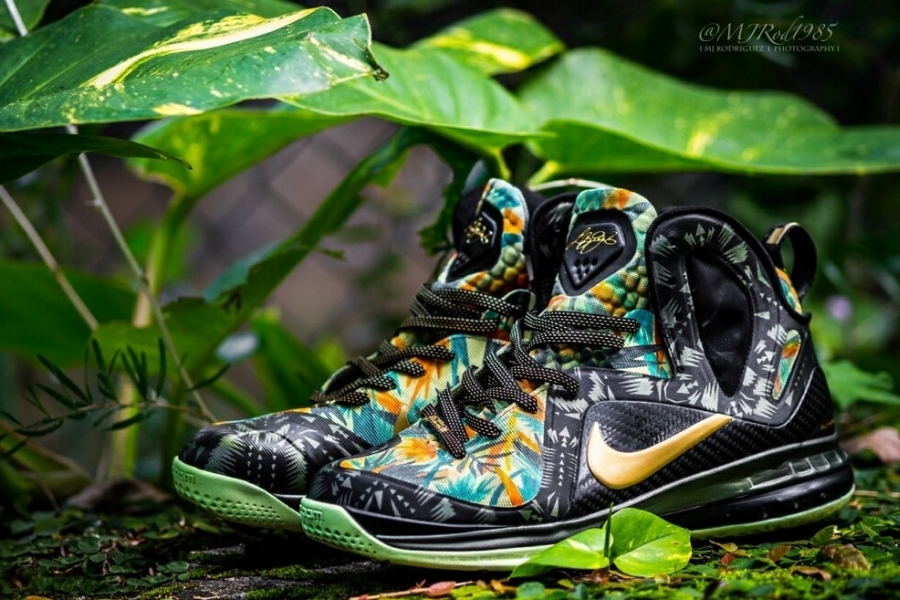 AspennigeriaShops, Comparison, Facts, nike stag zoom lebron youth