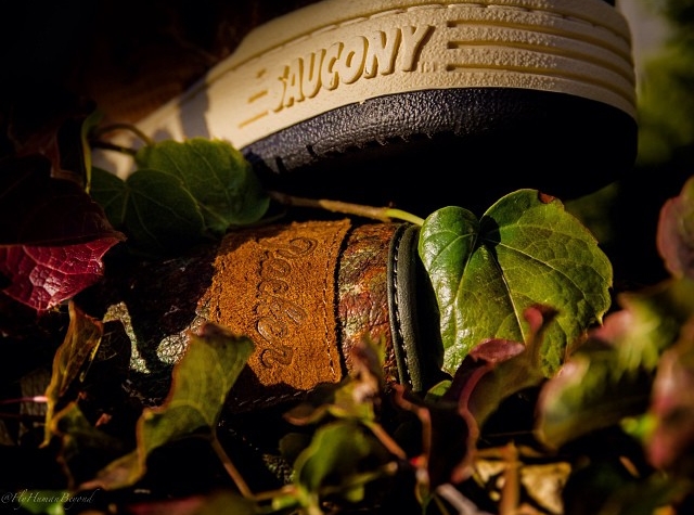 Packer Shoes Saucony Hangtime Snake Preview