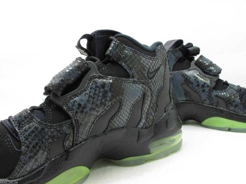 Snakeskin Nike Air Max Dt 96 02