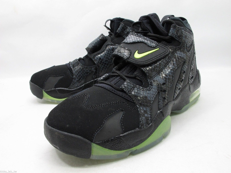 Snakeskin Nike Air Max Dt 96 06