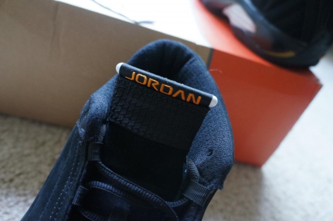 Air Jordan 14 Mickael Pietrus Pe 03