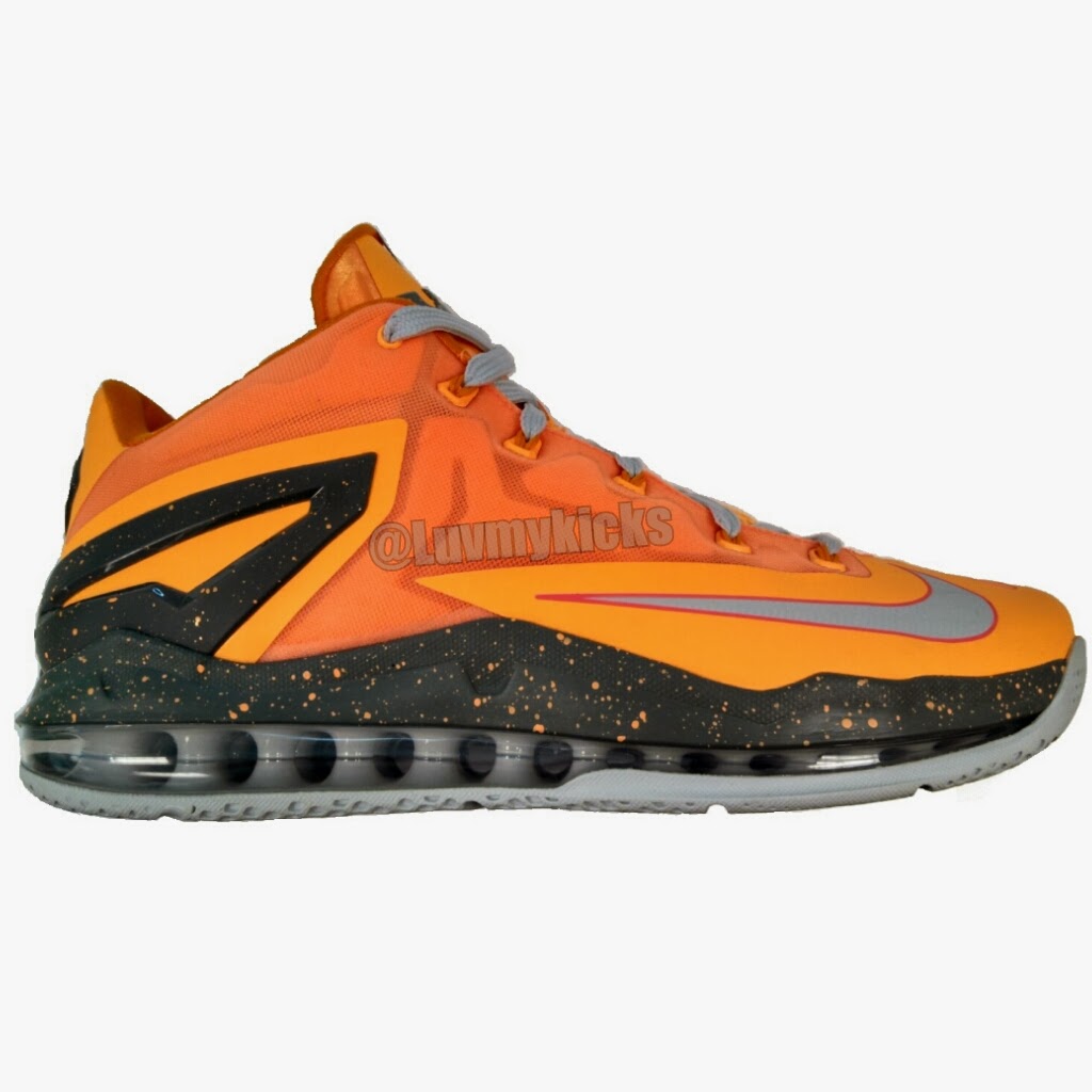 Lebron 11 Low Floridians 01