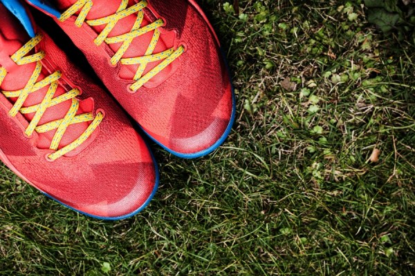 year of the horse kobe