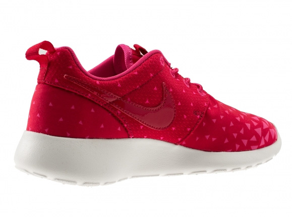 Nike Roshe Run Triangles 03