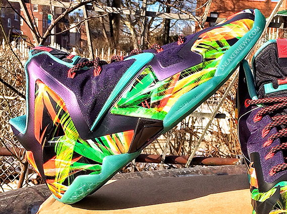 Nike Lebron 11 Floral Kings Pride 2