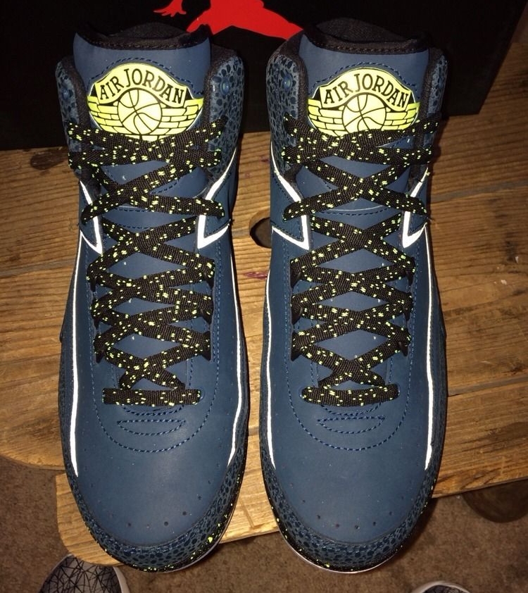 Night Shade Air Jordan 2 04