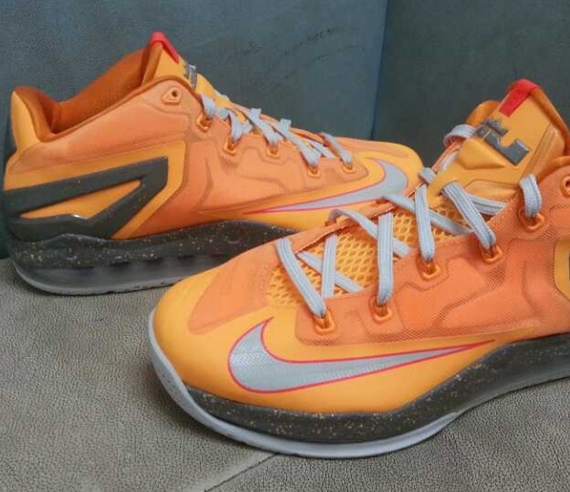 lebron 11 low floridian