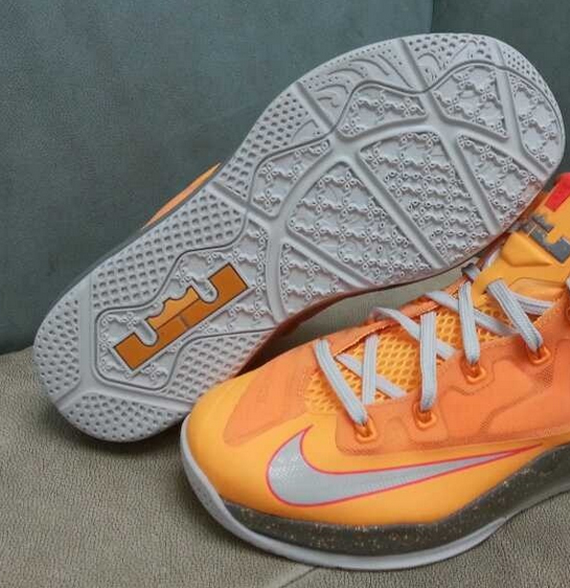 Nike Lebron 11 Low Floridians 5