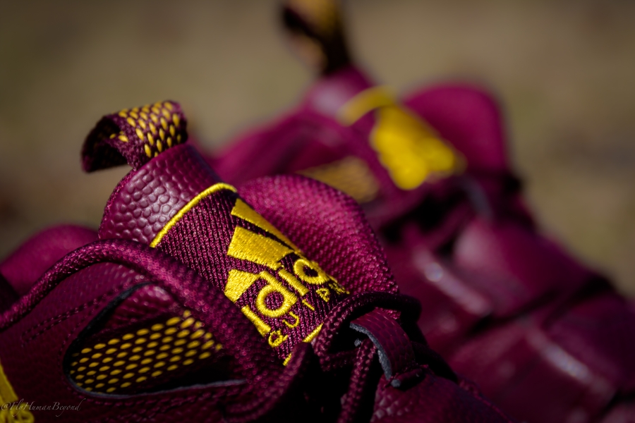 Adidas Crazy 8 Rg 3 Available 03