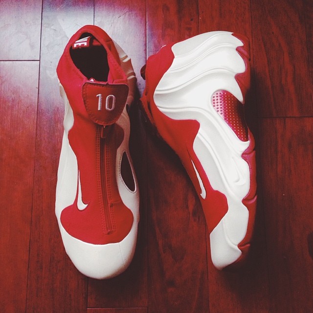 Nike Flightposite Chamique Holdsclaw Pe