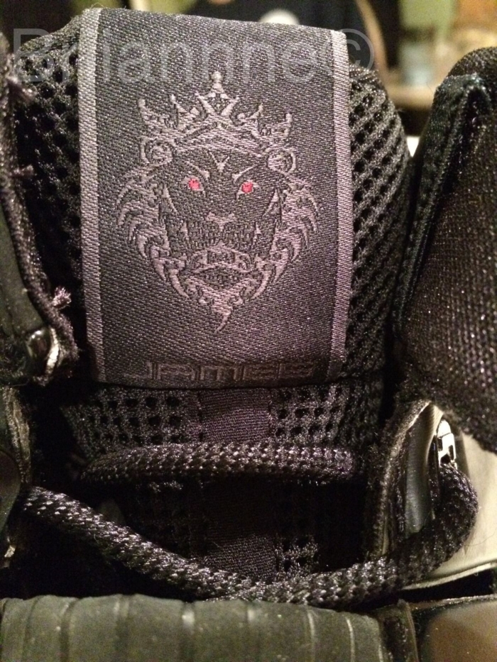 Nike Lebron 4 Blackout Autographed Pair 6