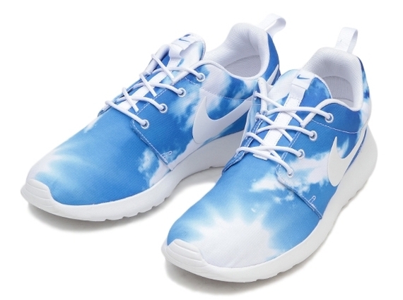 Roshe store run sky