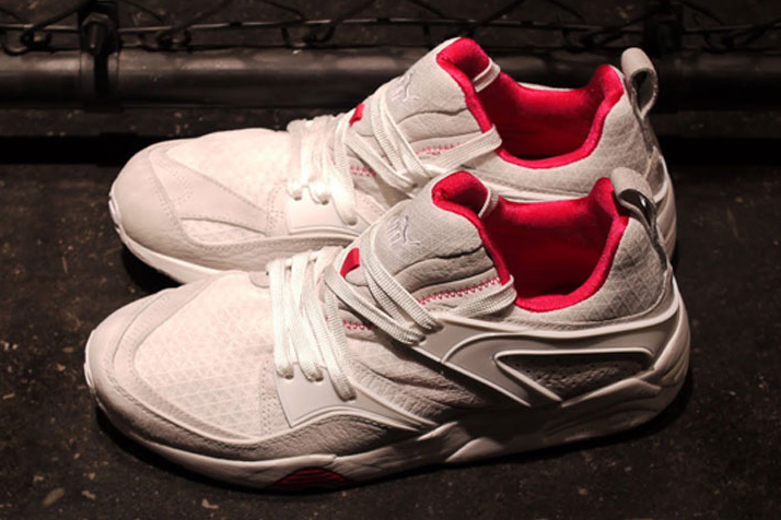 Puma R698 Evolution Pack 08