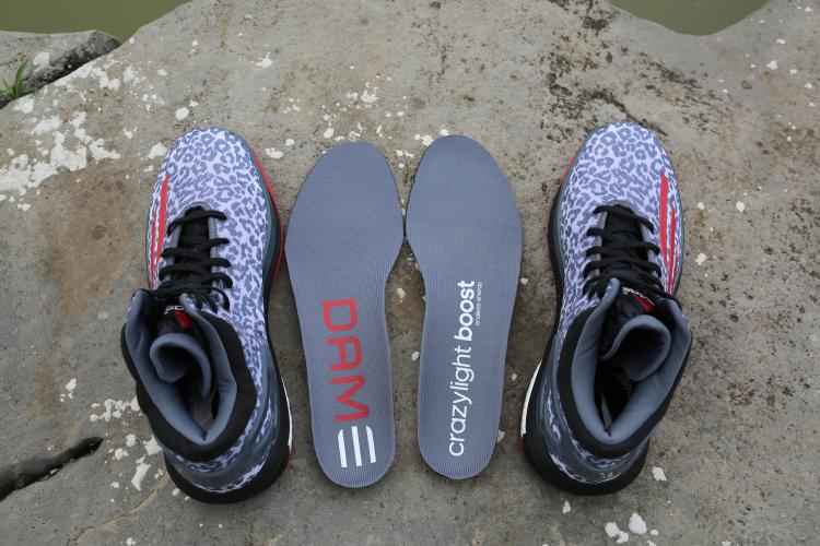 Adidas Crazy Light Boost 4 Leopard 01