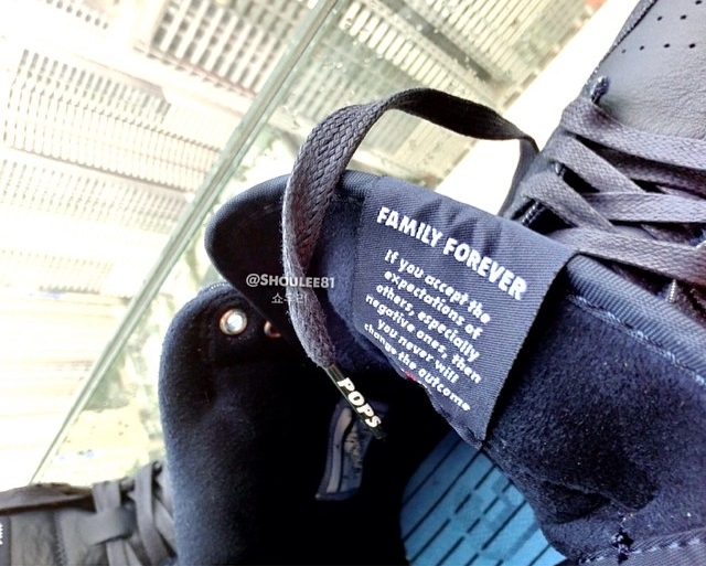 Air Jordan 1 Retro High Og Family Forever 02