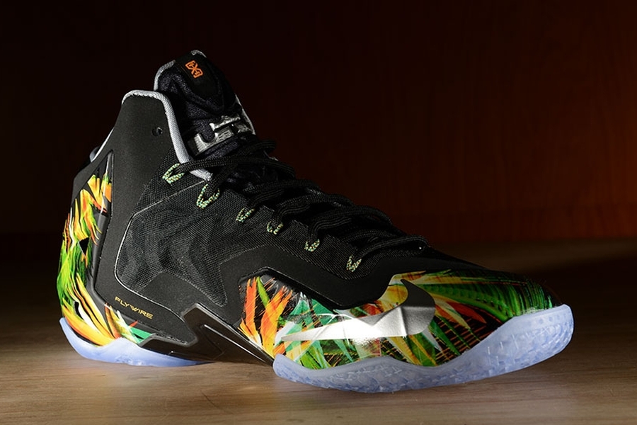 everglades nike lebrons 04