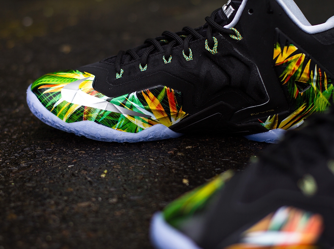 Lebron Everglades 02