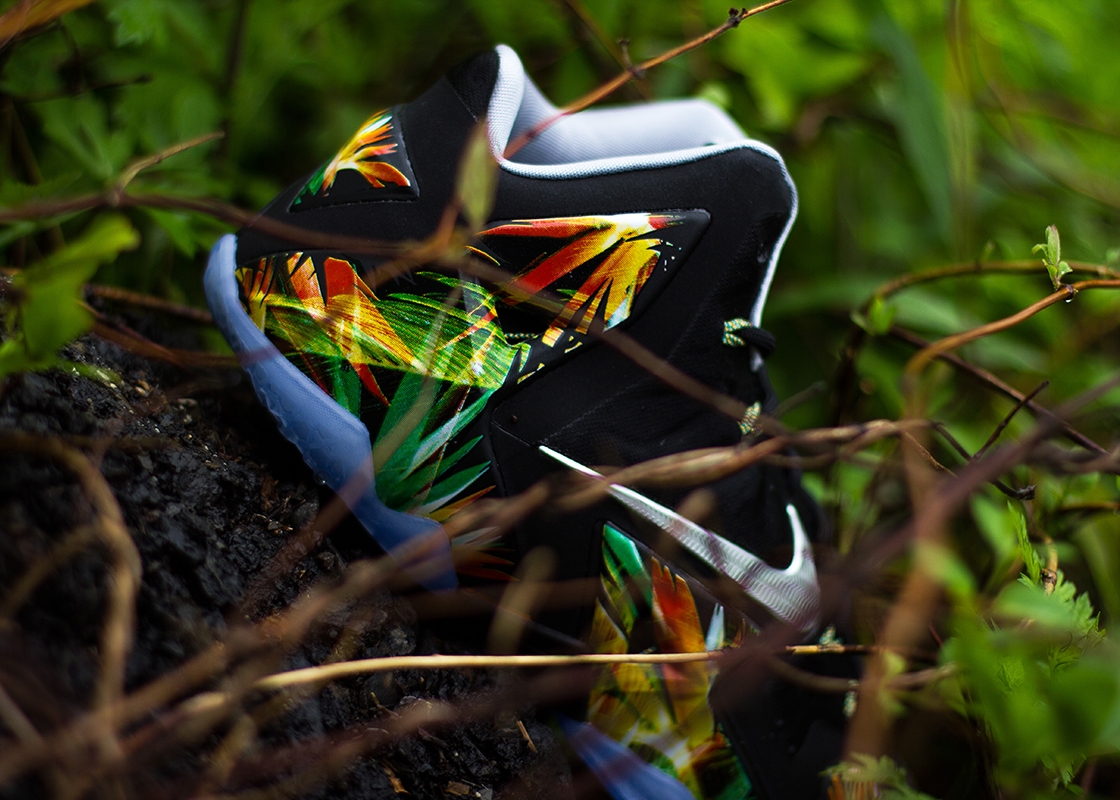 Lebron Everglades 03