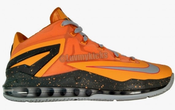 Lebron Floridian Low