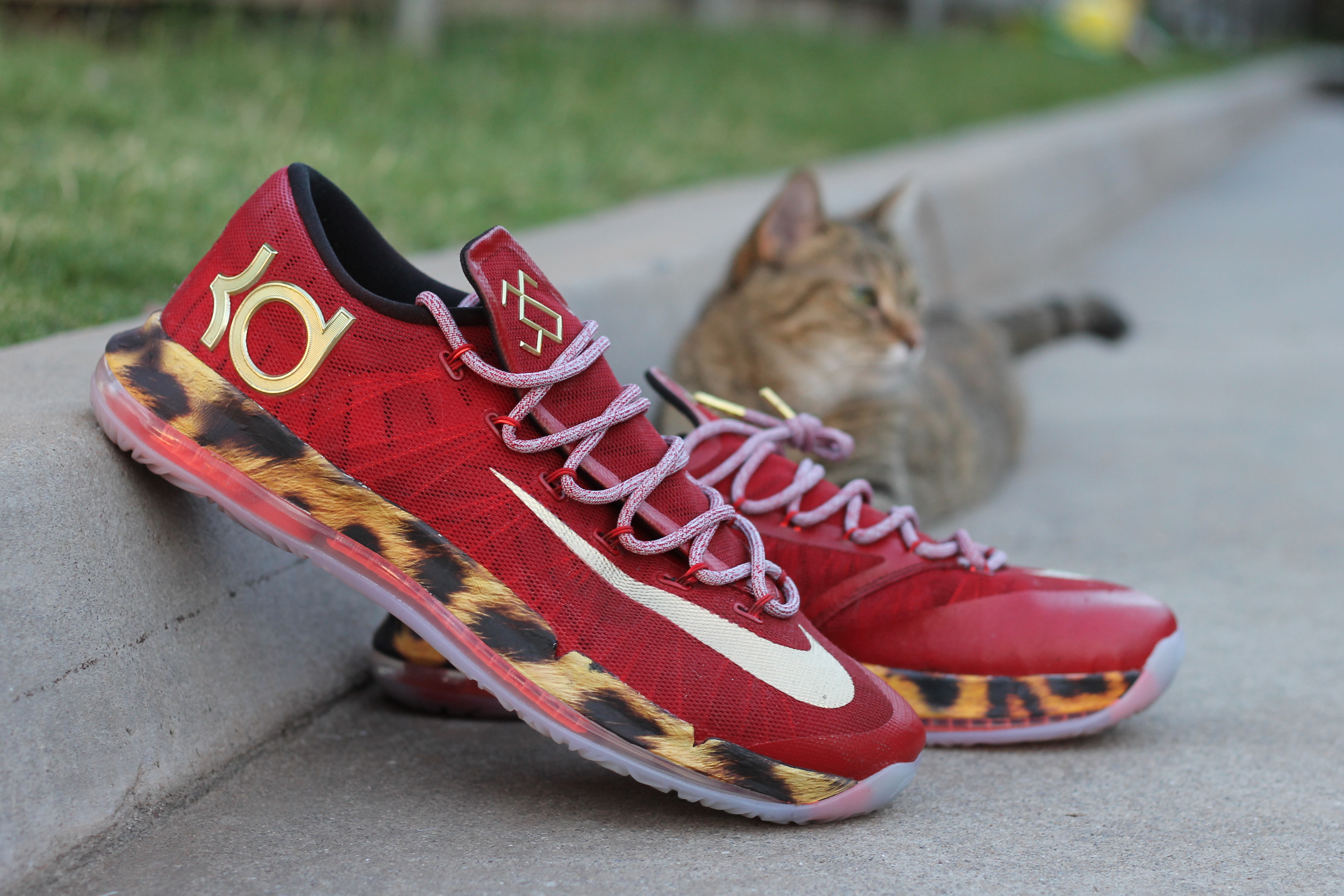 Nike Kd 6 Elite 2k14 Amac Customs 02