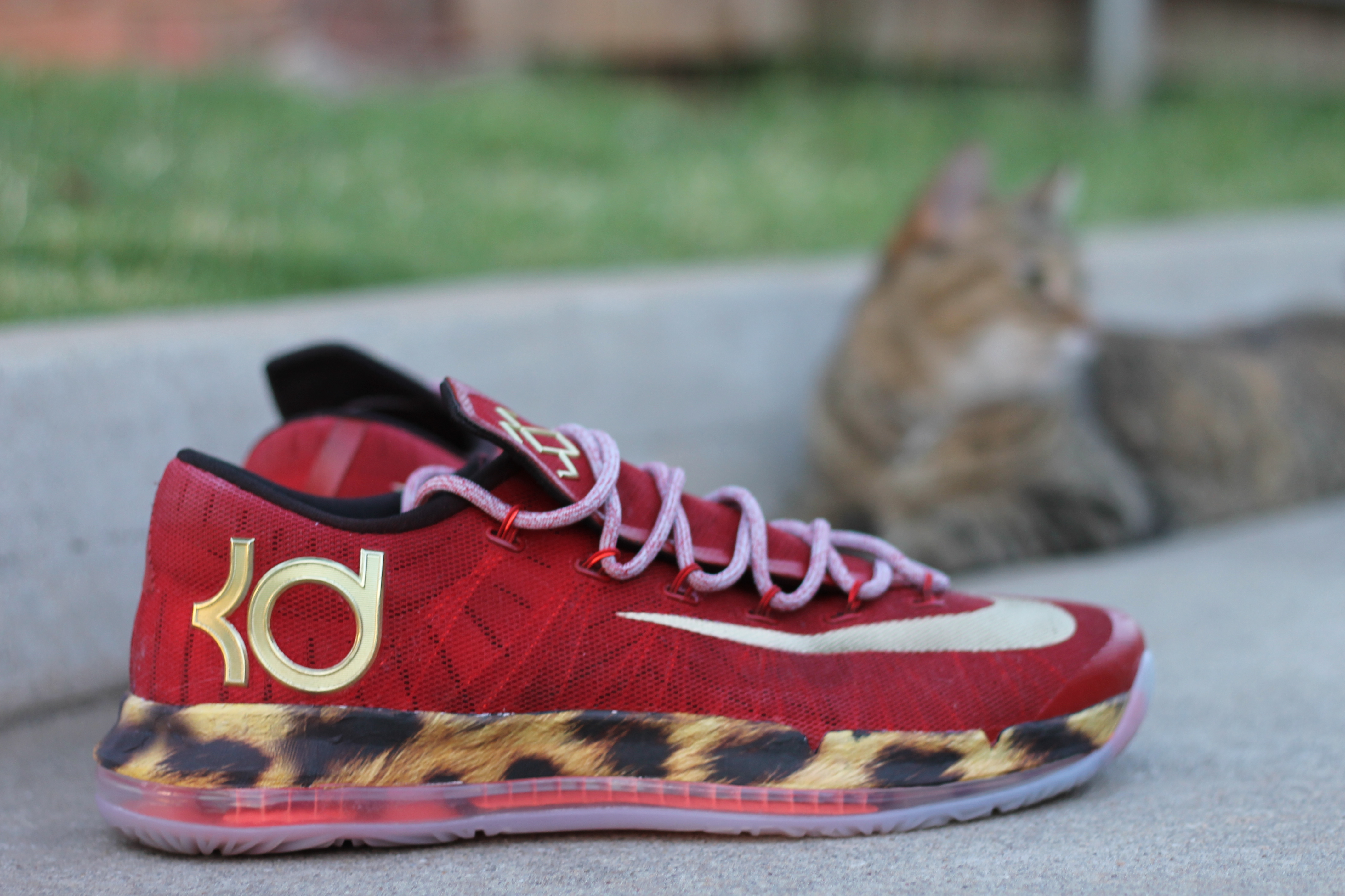 Nike Kd 6 Elite 2k14 Amac Customs 03