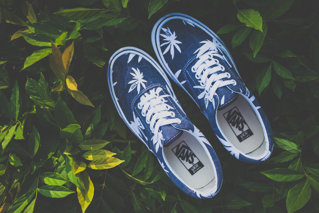 Vans Doren Era Navy Palm 02
